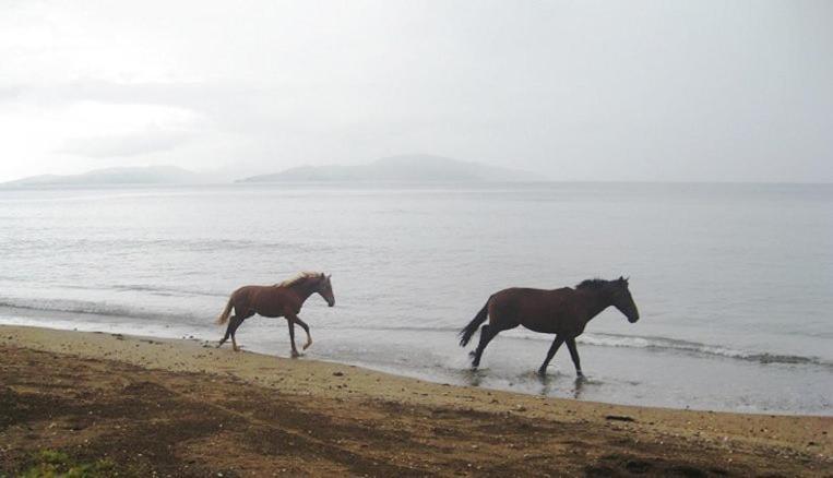 Aroha Taveuni Beachfront Bures Waiyevo Luaran gambar